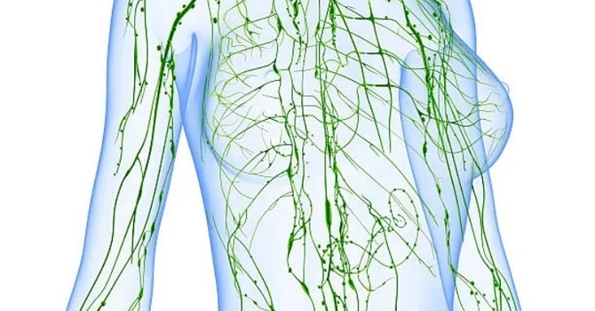 Introduction to Lymphatics image