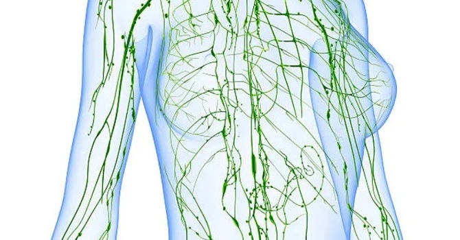 Introduction to Lymphatics image