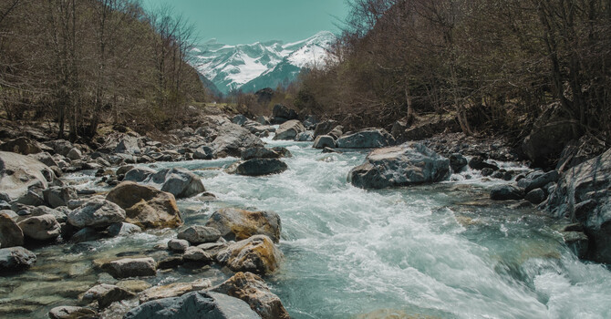 Spring Lymphatic System Reset: