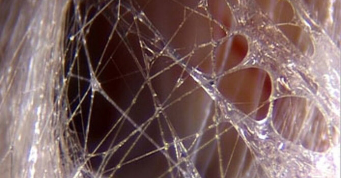 Fascia and the Lymphatic System